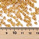 8/0 Round Glass Seed Beads SEED-US0003-3mm-162C-3