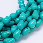 Natural Howlite Teardrop Bead Strands, Dyed & Heated, Turquoise, 18x13mm, Hole: 1.5mm, about 22pcs/strand, 15.55 inch