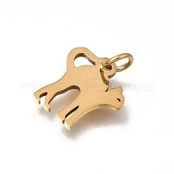 Dijes de acero inoxidable 304&nbsp;SA-CBAF171-05G