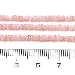 Нити бусин из натуральных пресноводных ракушек SHEL-P017-01A-09