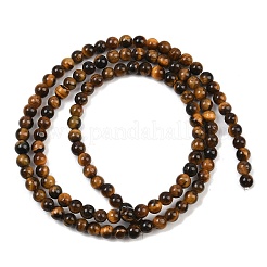 Природных тигровый глаз бисер нитей G-S259-21-3mm