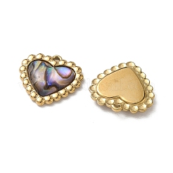 Natur Paua Muschel Anhänger&nbsp;STAS-G397-16G-02