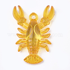 Прозрачные акриловые подвески&nbsp;X-TACR-S149-02