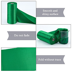 Плоские ленты из полиэстера SRIB-WH0011-012E