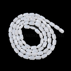 Стеклянные бусины&nbsp;GLAA-Z018-B01