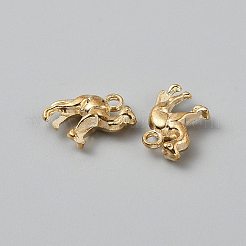 Pendentifs en alliage de style tibétain&nbsp;FIND-WH0152-718KCG