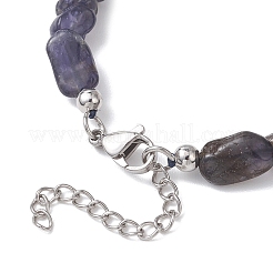 Женские бусины из натуральных самородков иолита&nbsp;NJEW-JN05829