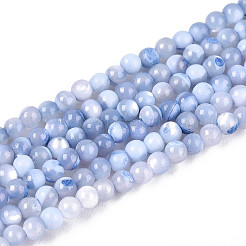 Нити бусин из окрашенных натуральных ракушек трохид/трохус SSHEL-T017-13M