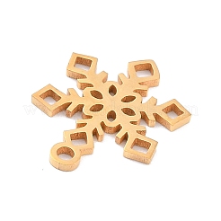 Ionenplattierung (IP) 201 Edelstahlanhänger&nbsp;LS-STAS-K003-13G-02