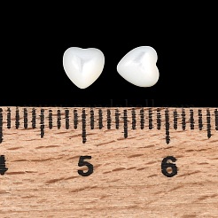Natürliche weiße Muschel cabochons&nbsp;BSHE-H001-05