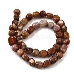 Природные окаменелое дерево бисер пряди G-L621-C11-02