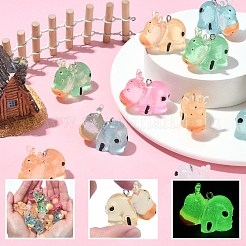 30шт 5 цвета подвески из светящейся смолы&nbsp;RESI-SZ0003-24