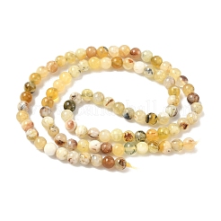 Природные желтые опал бусины пряди&nbsp;G-I213-18-4mm