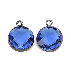 Glas Anhänger / charms&nbsp;KK-C228-02B