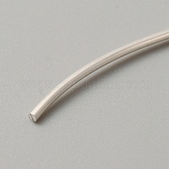 999 feiner Silberdraht&nbsp;STER-WH0008-14C