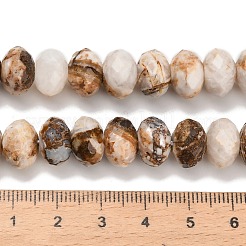 Природные окаменелое дерево бисер пряди&nbsp;G-C259-A06-8x12mm-02