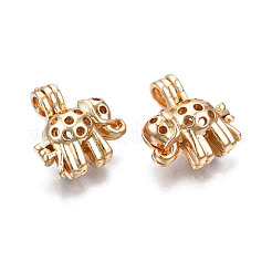 Подвески из металлического сплава PALLOY-N158-012G