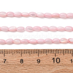 染め天然淡水シェルビーズ連売り  ライス  ピンク  5x3mm  穴：0.8mm  約38個/連  7.24''（18.4センチメートル）&nbsp;SH-CBA2978-06D