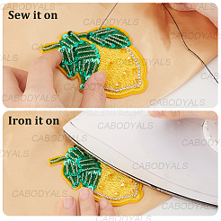 6 pezzo di ricamo in poliestere con tema frutta in 3 stili&nbsp;DIY-CY0003-61