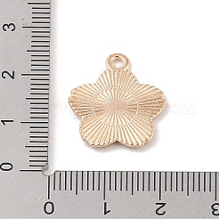 Подвески из эмали и сплава&nbsp;ENAM-Z010-25A-KCG