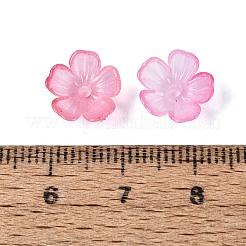 Capuchons de perles en plastique transparent&nbsp;KY-Q005-02A-10