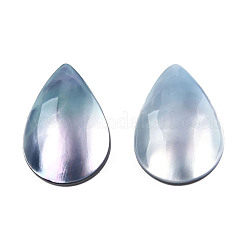 Натуральный турбокорнулус/кабошоны из ракушек SSHEL-N003-157A