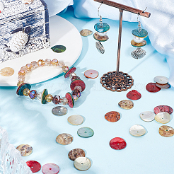 288шт натуральные пресноводные бусины из ракушек BSHE-BBC0001-02