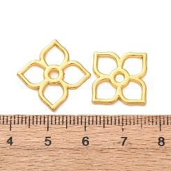 Aluminium Anhänger & Charms&nbsp;FIND-C094-10G