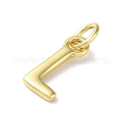 Accumuler breloques de laitonnage&nbsp;KK-P245-06G-L