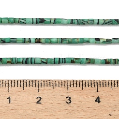 Tinti turchese sintetico fili di perline&nbsp;G-P594-01B-06