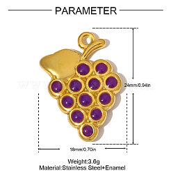 Подвески с фруктами из эмалированной нержавеющей стали 304&nbsp;STAS-OY005-15G