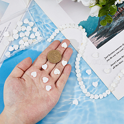 2 нитка 2 стиля натуральные пресноводные ракушки бусины нитки SHEL-FH0001-26