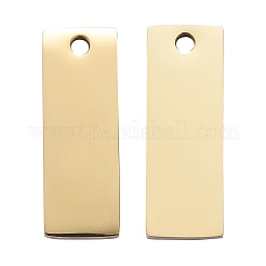 Placcatura ionica (ip) ciondoli in acciaio inossidabile 304&nbsp;LS-STAS-I140-22B-A
