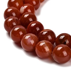 Окрашенные естественный агат бисер пряди G-G203-10L-12mm