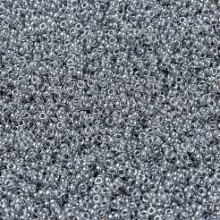 Perles rocailles miyuki rondes&nbsp;X-SEED-G009-RR0240