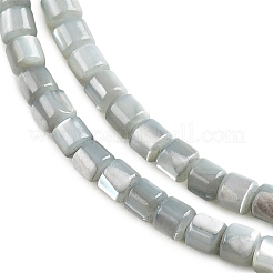 Coquille de trochid naturel / brins de perles de coquille de trocas&nbsp;SSHEL-N034-77-C01