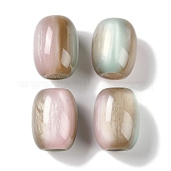 Европейские бусины из трехцветной смолы&nbsp;RESI-F055-13