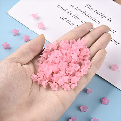 Прозрачные акриловые бусины X-PL554-02