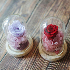 Купол из круглого стекла DIY-DR0001-53