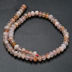 Натуральные вишневые агатовые бусины G-Z111-A40