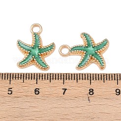 Подвески из эмали и сплава&nbsp;LS-PALLOY-XCP0002-13