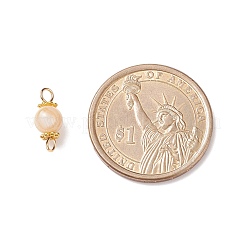 Подвески из натуральных ракушек&nbsp;PALLOY-JF01658