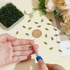 500шт прозрачные акриловые подвески&nbsp;TACR-ME0001-02A