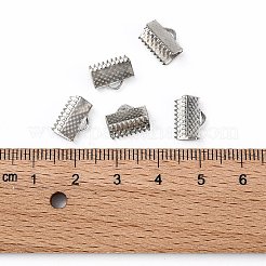 Eisenband Crimp-Enden&nbsp;LS-E143Y-N