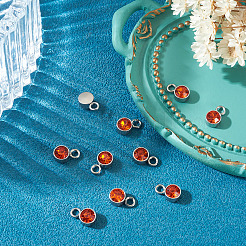 10 Stück Glas-Strass-Anhänger&nbsp;STAS-TADJ0001-01