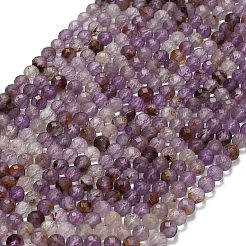 Stränge aus natürlichen violetten Phantomquarz-/violetten Lodolithquarzperlen&nbsp;G-L661-A01-5mm