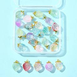 24шт 12 цвета прозрачные стеклянные подвески GLAA-FS0002-41