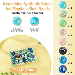 120 шт. 8-цветные собранные бусины из синтетического камня и ракушек-трохусов G-TA0002-31B