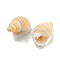 Spirale Shell naturale perline&nbsp;BSHE-G038-06C
