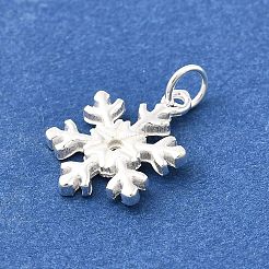 925 стерлингов серебряные подвески&nbsp;STER-Q003-01F-S